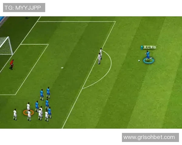 足球巨星劳菲成长之路与辉煌成就全景解析