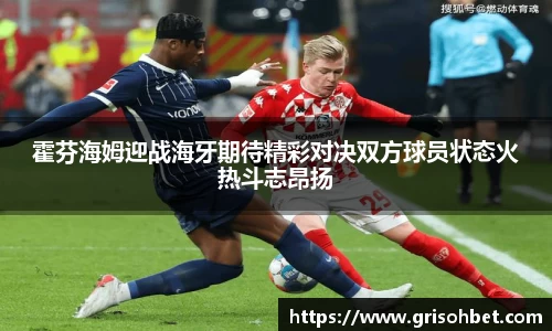 evo视讯官网